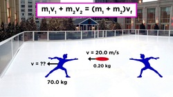 Practice Problem: Inelastic Collisions at the Skating Rink Instructional Video