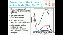 Basics of Amino Acid Structure (Part 2) Instructional Video