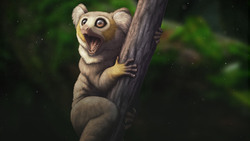 How Mountains Make Evolution Weird Instructional Video