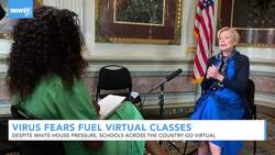 Despite White House Pressure, Schools Across The Country Go Virtual News Clip