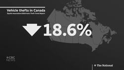 Auto theft plummets but is still a major problem, report says News Clip