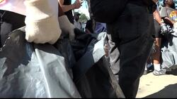 Volunteers come together to clean up local green space, call on NYC officials for more cleaning efforts Instructional Video