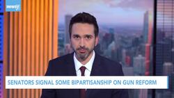 Senators Signal Some Bipartisanship On Gun Reform News Clip