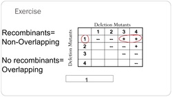 Complementation Test: Benzers Experiment Instructional Video