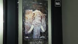 Johnny Depp tarot paintings, including one inspired by ex-wife Vanessa Paradis, to go up for sale News Clip