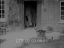 Belgium Farm Lifestyle Stock Footage