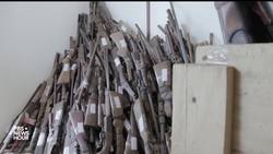 Congo Basin’s Endangered Wildlife Find Unlikely Guardians In Indigenous 
Hunters News Clip