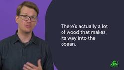 Wood-eating Clams: The Real Kraken? Instructional Video