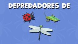 High Five Facts - Arachnids Choca Esos Cinco - Arácnidos Instructional Video