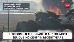 Korea Tragedy: 'Crash Protection System Was Robust...'; New Twist In Jeju Air Plane Disaster News Clip