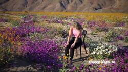 Seated Yoga for Energy & Flexibility Instructional Video