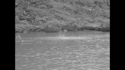 Naked GIs cool off in the river during a break in action at the central frontline in the Korean War News Clip