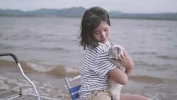 Young woman playing with her cat by the lake. Stock Footage
