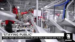 Musk Won't be Tesla CEO By End of Year, Activist Investor Says News Clip