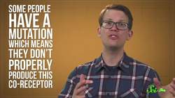 The Second-Ever Case of Full HIV Remission | SciShow News Instructional Video