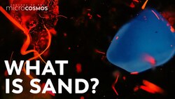 Sand Is Full of Life and Death Instructional Video