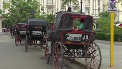 Menos visitantes de EEUU afectan a carruajes tirados por caballos en Cuba  Instructional Video