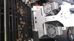 VOICED : Colmenas robotizadas en Israel para preservar a las abejas News Clip