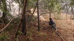 Canada's Historic Wildfire Season Continues News Clip