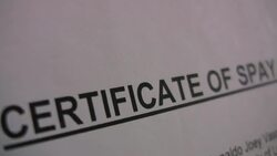 How to Give Your Dog Up for Adoption Instructional Video