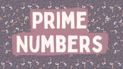Prime Numbers Explained Instructional Video