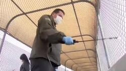 VOICED : EEUU anuncia que frontera con México y Canadá seguirá cerrada hasta el 20 de agosto News Clip