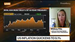 Volatility 'Great' for Muni Investors: Appleton's Fitts News Clip