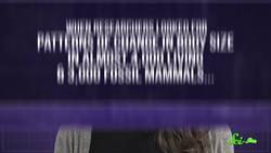 Why Are Marine Mammals So Big Instructional Video