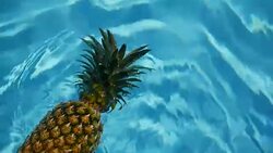 Pineapple Floating In blue Water In Swimming Pool. Healthy Raw Organic Food. Juicy Fruit. Vegetarian, Vegan Nutrition, Vitamins, Diet, summer holidays, vacation concepts. Exotic tropical background Stock Footage
