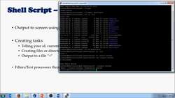 Complete Linux Training Course to Get Your Dream IT Job - Basic Shell Scripts Instructional Video