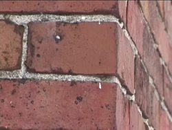 Weathering and Soils: Introduction Instructional Video