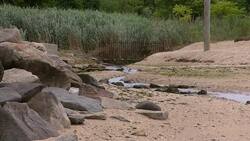 Town of Huntington to use license plate readers at town beaches this summer News Clip