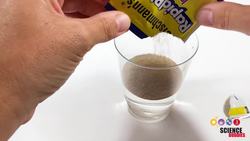 Change the Reaction Rate of a Foaming Reaction Instructional Video