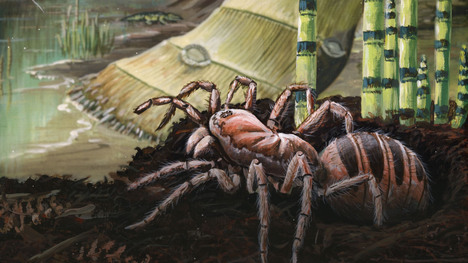 Webs vs Wings: the Arms Race of the Air