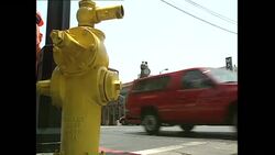 Hollywood Boulevard and traffic in LA - 1994 News Clip