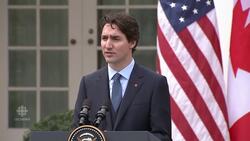 Obama, Trudeau optimistic on softwood lumber News Clip