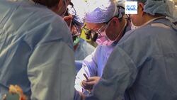 Surgeons perform the world's first pig kidney transplant into a human patient News Clip