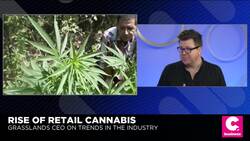 Cannabis Thought Leader: 'It's Inevitable' Big Pot Will Stifle Small Business News Clip