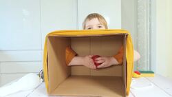 Five Senses Activities Ideas Instructional Video