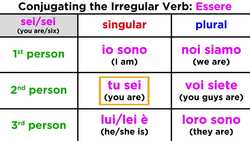 Conjugation and Usage of the Verb: Essere (To Be - Permanent State) Instructional Video