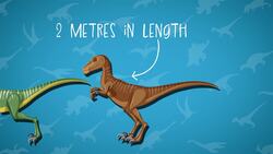 I WONDER - How Big Was A Velociraptor? Instructional Video
