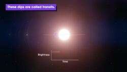 TESS Finds Related Stars Have Young Exoplanets Instructional Video