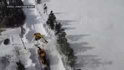 A snowstorm put life on paws for these volunteers at a St. John's dog shelter News Clip