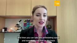 A new AI tool that can decode brain signals proves '95% accurate' on mice News Clip