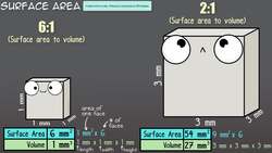 Inside the Cell Membrane Instructional Video