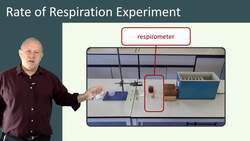 Rates of Respiration Experiments with Maggots: Investigating the Relationship between Temperature and Respiration Instructional Video