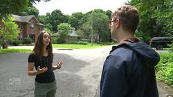 Quebec’s cardinal population is booming. This researcher thinks she knows why News Clip