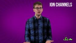 Why Does Spicy Taste 'Hot' and Minty Taste 'Cool'? Instructional Video