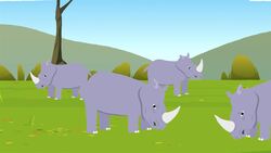 I WONDER - What Is A Javan Rhino? Instructional Video