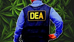 How the war on drugs BLOCKS life-saving treatment Instructional Video